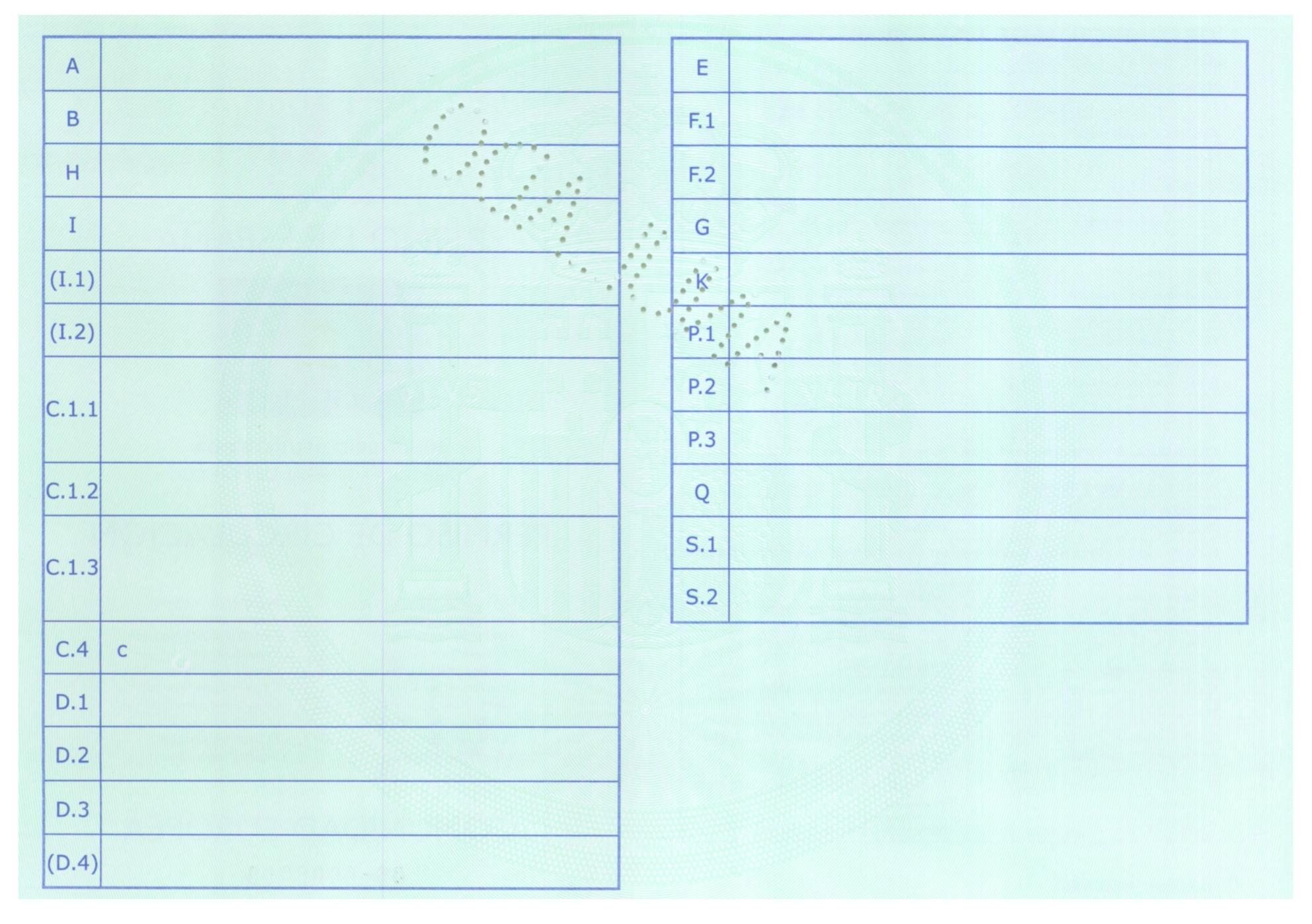 Ejemplo de Permiso de circulación
